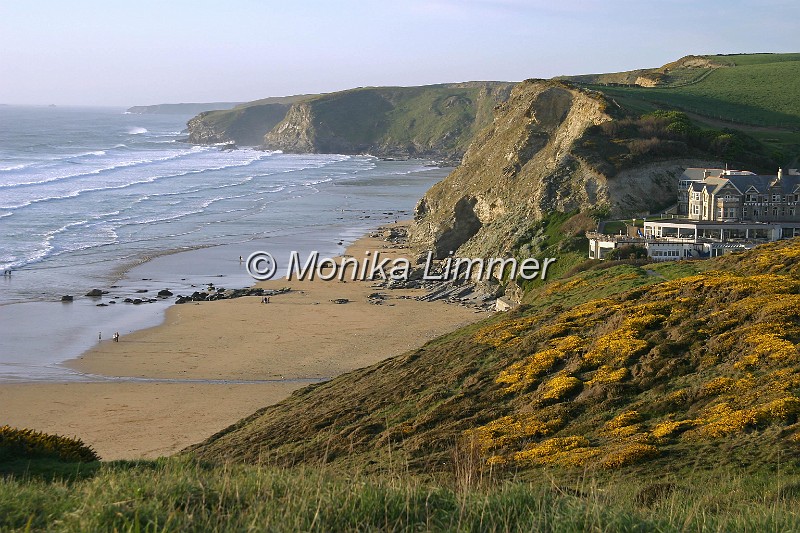 7748__kueste watergate_quer ginster.jpg